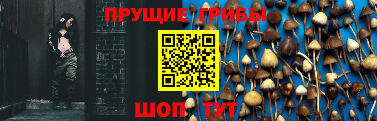 Псилоцибиновые грибы GOLDEN TEACHER  Вход с VPN  Вязьма 